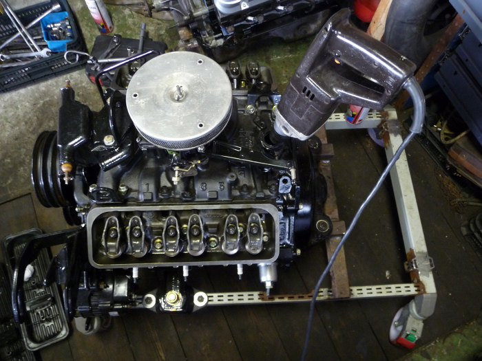 Searay Mercruiser Chevy 262 4.3L V6 Engine